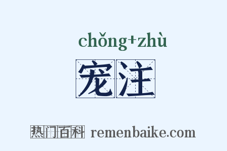 宠注是什么意思的图片